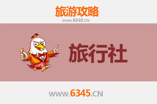 宜宾本地旅行社推荐：畅游酒都竹海，解锁深度游玩攻略