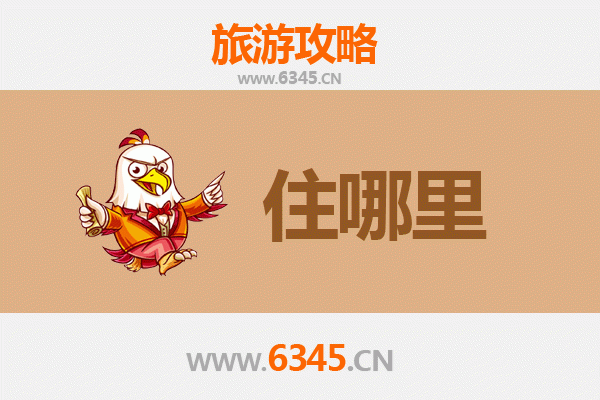 宜宾旅游民宿全攻略：沉浸式体验长江首城的诗意栖居